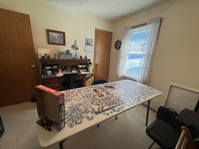 412 Kadee Dr, Crane, MO 65633 - photo 35