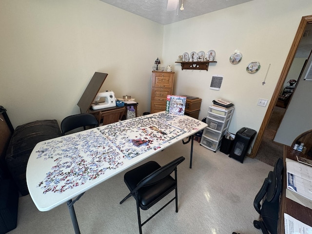 412 Kadee Dr, Crane, MO 65633 - photo 34