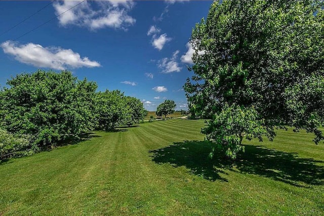 3412 S Pond Willow Ln, Republic, MO 65738 - photo 3