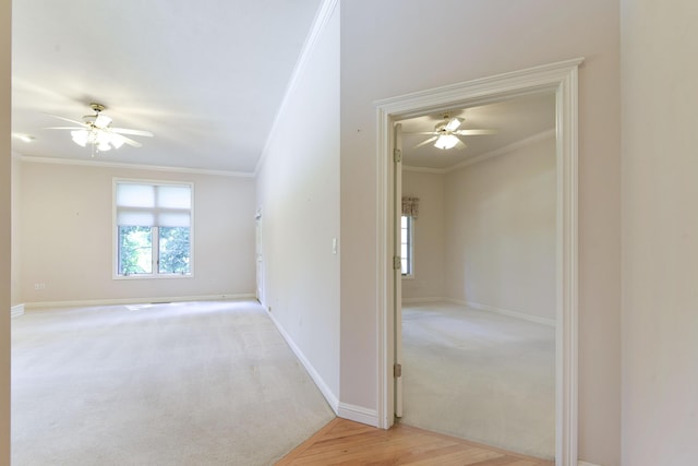 3141 E Mimosa St Unit K, Springfield, MO 65804 - photo 17