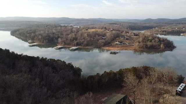 29931 State Highway 86, Eagle Rock, MO 65641 - photo 43
