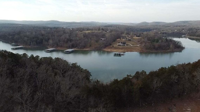 29931 State Highway 86, Eagle Rock, MO 65641 - photo 44