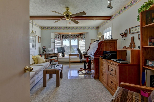 14 Walnut Ln, Kimberling City, MO 65686 - photo 13