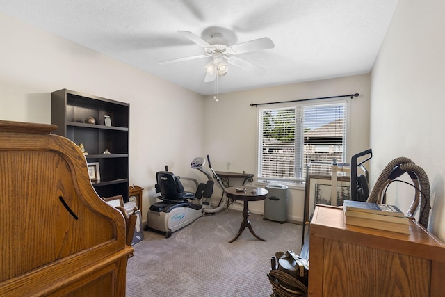 3730 W Birchwood Ct, Springfield, MO 65807 - photo 29