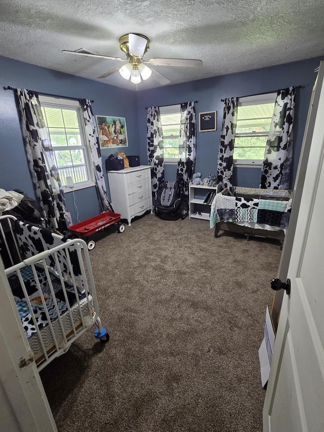 308 E James St, Mountain View, MO 65548 - photo 15