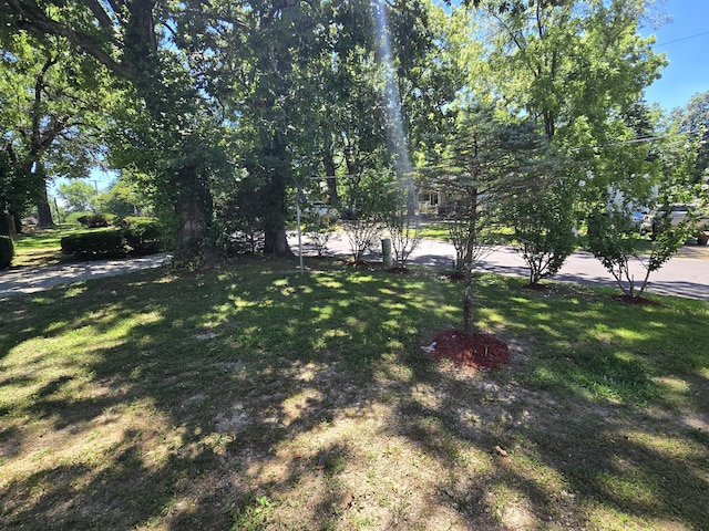 308 E James St, Mountain View, MO 65548 - photo 67