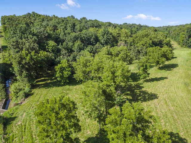 000 N Farm Road 99, Willard, MO 65781 - photo 10