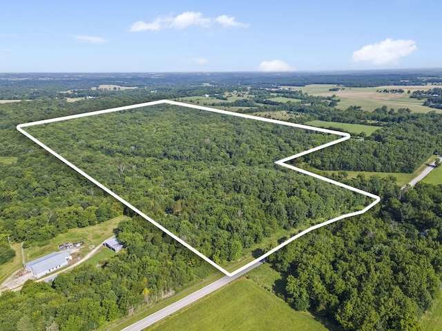 000 N Farm Road 99, Willard, MO 65781 - photo 13