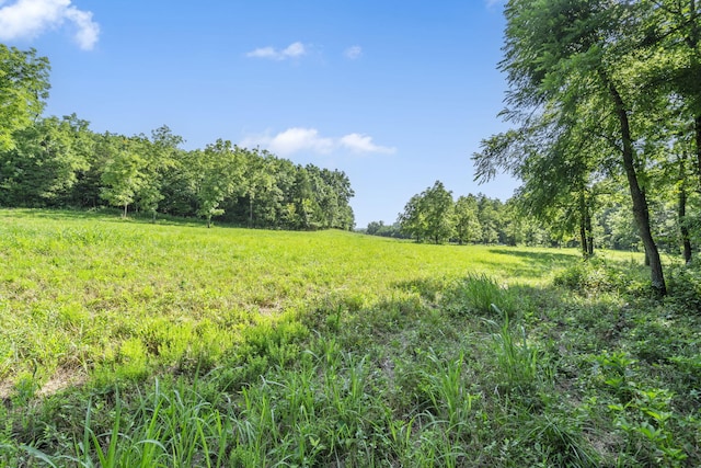 000 N Farm Road 99, Willard, MO 65781 - photo 6