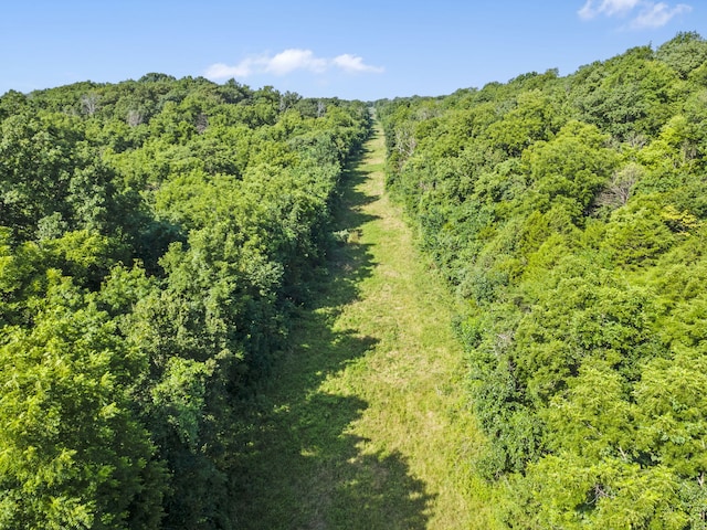 000 N Farm Road 99, Willard, MO 65781 - photo 11