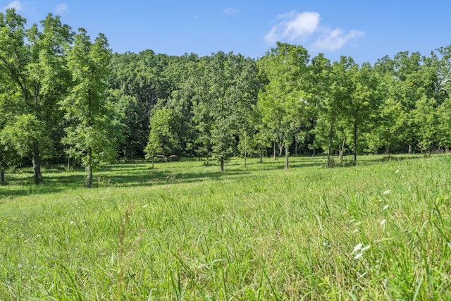 000 N Farm Road 99, Willard, MO 65781 - photo 2