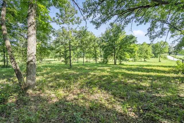 000 N Farm Road 99, Willard, MO 65781 - photo 3