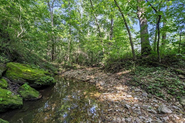 000 N Farm Road 99, Willard, MO 65781 - photo 4