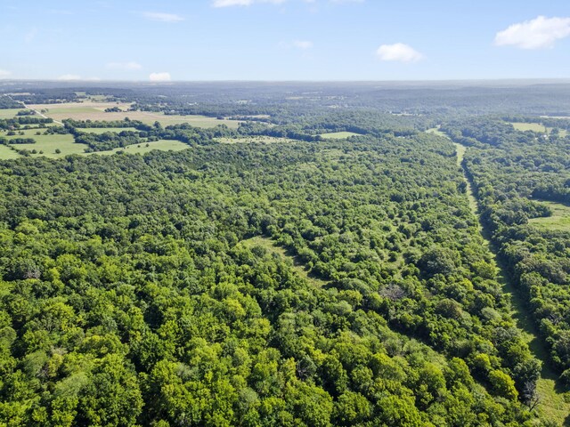 000 N Farm Road 99, Willard, MO 65781 - photo 9
