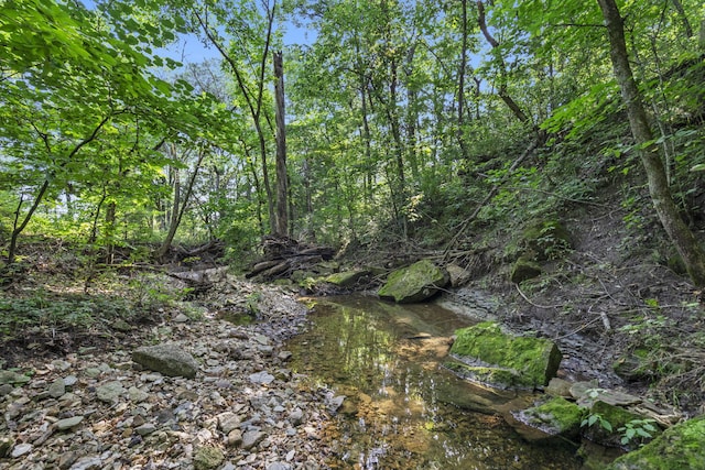 000 N Farm Road 99, Willard, MO 65781 - photo 5
