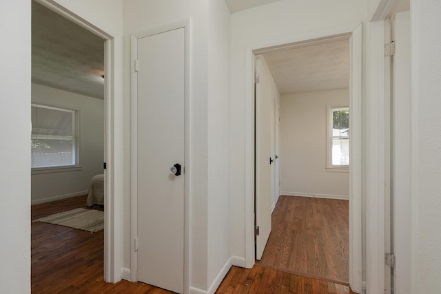 2427 N Boonville Ave, Springfield, MO 65803 - photo 15