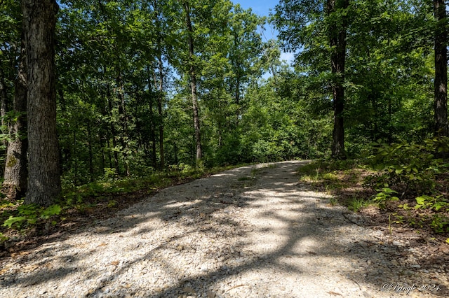 7309 County Road 5090, Pomona, MO 65789 - photo 35