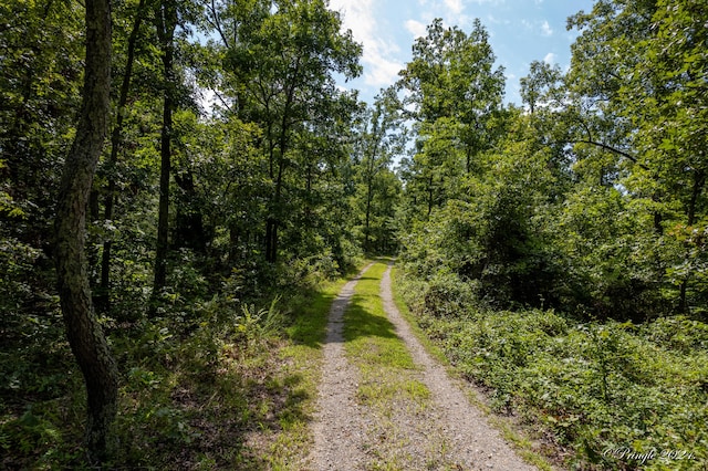 7309 County Road 5090, Pomona, MO 65789 - photo 30