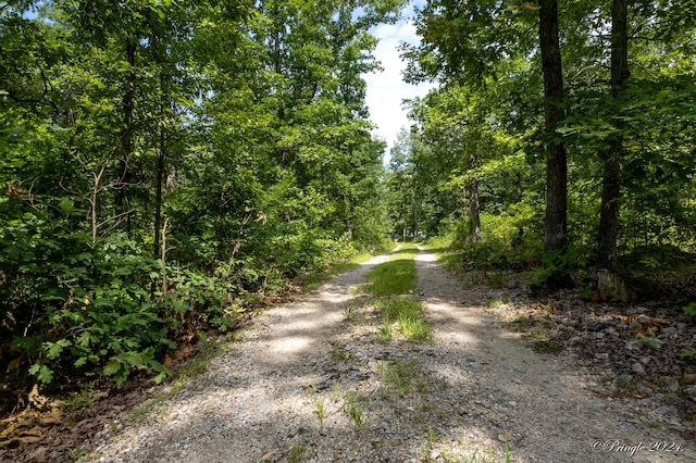 7309 County Road 5090, Pomona, MO 65789 - photo 36