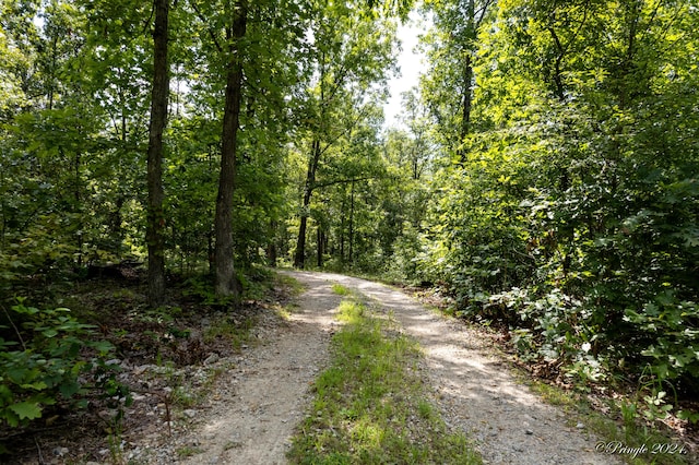 7309 County Road 5090, Pomona, MO 65789 - photo 32