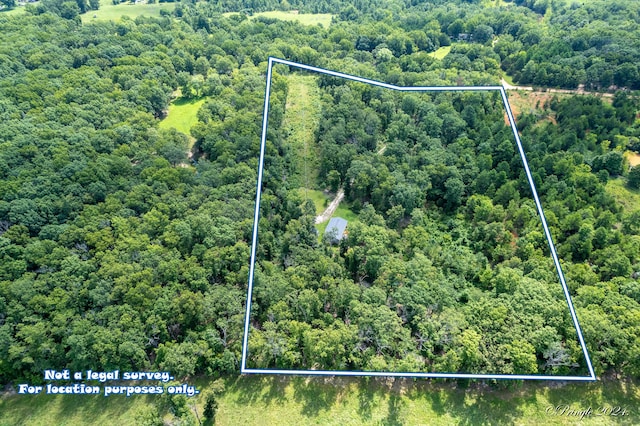 7309 County Road 5090, Pomona, MO 65789 - photo 4