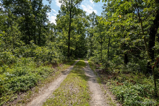 7309 County Road 5090, Pomona, MO 65789 - photo 31