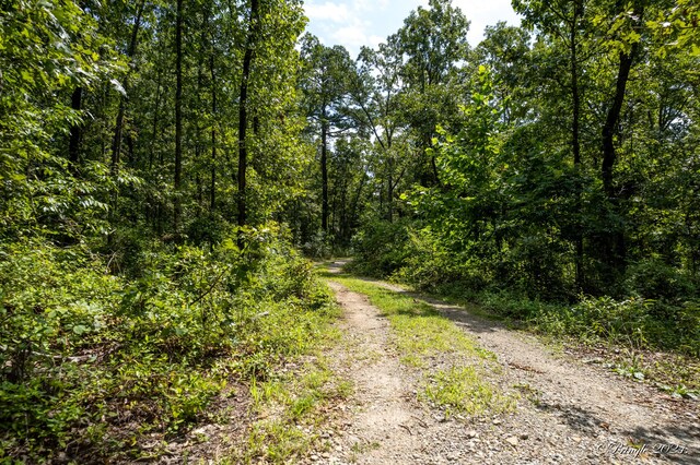 7309 County Road 5090, Pomona, MO 65789 - photo 34