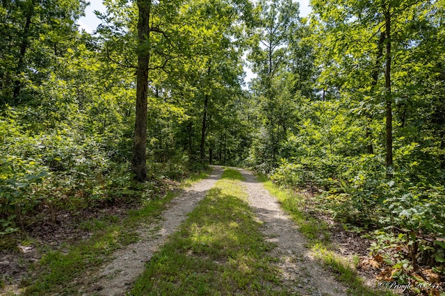 7309 County Road 5090, Pomona, MO 65789 - photo 20