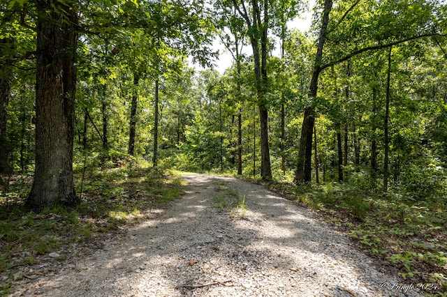 7309 County Road 5090, Pomona, MO 65789 - photo 33