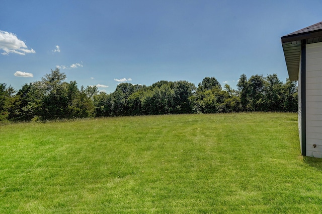 932 Mulberry Rd, Highlandville, MO 65669 - photo 43