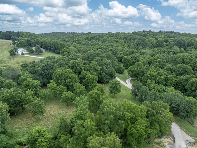 3702 Round House Rd, Aurora, MO 65605 - photo 6