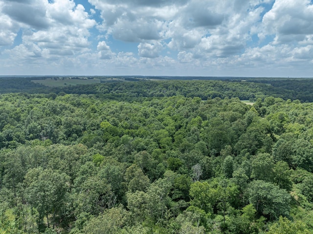 3702 Round House Rd, Aurora, MO 65605 - photo 73