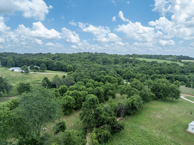 3702 Round House Rd, Aurora, MO 65605 - photo 5