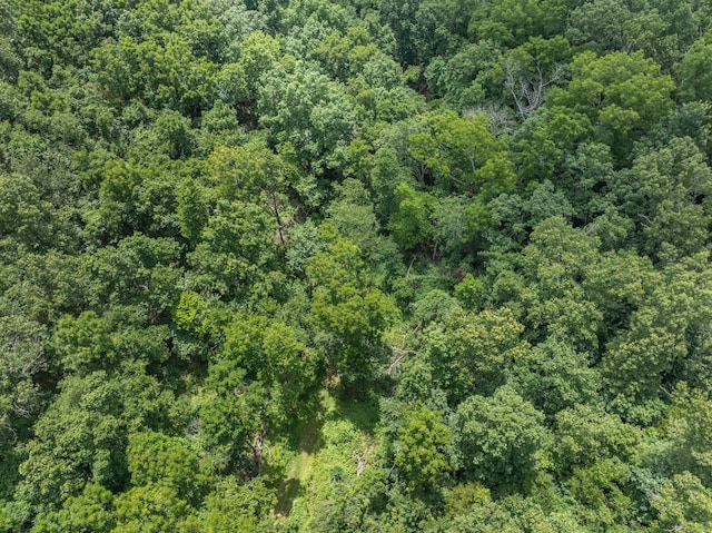 3702 Round House Rd, Aurora, MO 65605 - photo 76