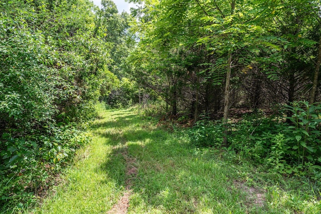 3702 Round House Rd, Aurora, MO 65605 - photo 64