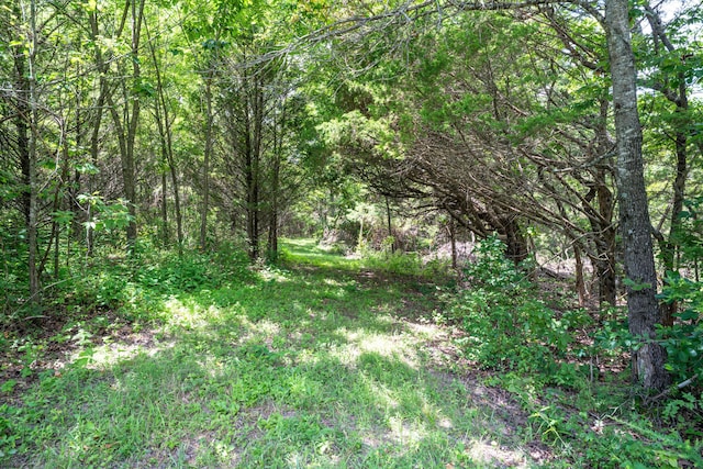 3702 Round House Rd, Aurora, MO 65605 - photo 62