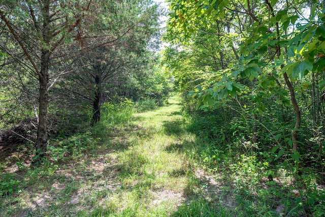 3702 Round House Rd, Aurora, MO 65605 - photo 65