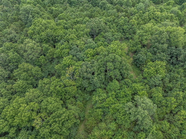 3702 Round House Rd, Aurora, MO 65605 - photo 77