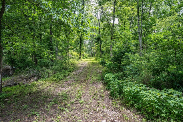 3702 Round House Rd, Aurora, MO 65605 - photo 67