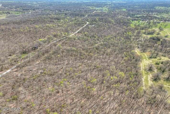 PARCEL1 Gum Rd, Seneca, MO 64865 - photo 2
