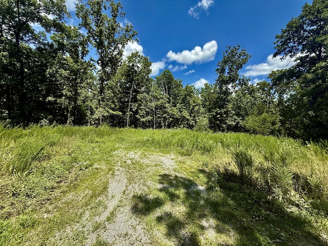 16445 County Road 6220, Edgar Springs, MO 65462 - photo 3