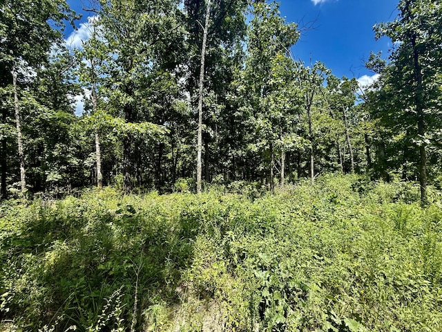 16445 County Road 6220, Edgar Springs, MO 65462 - photo 6