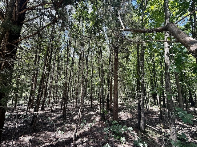 16445 County Road 6220, Edgar Springs, MO 65462 - photo 8