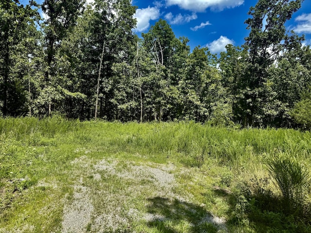 16445 County Road 6220, Edgar Springs, MO 65462 - photo 5