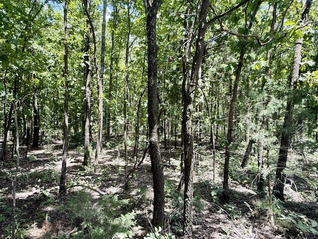 16445 County Road 6220, Edgar Springs, MO 65462 - photo 7