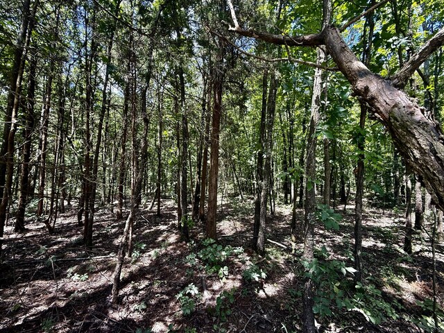 16445 County Road 6220, Edgar Springs, MO 65462 - photo 10