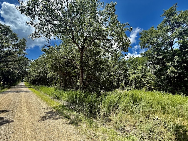 16445 County Road 6220, Edgar Springs, MO 65462 - photo 1