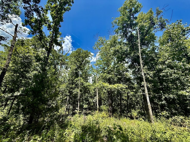 16445 County Road 6220, Edgar Springs, MO 65462 - photo 4