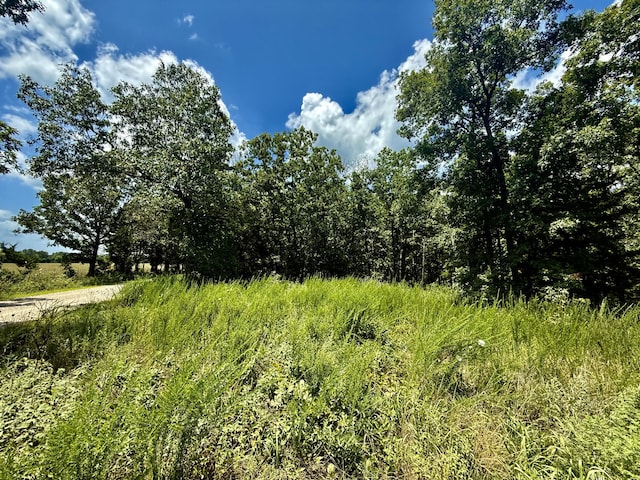 16445 County Road 6220, Edgar Springs, MO 65462 - photo 2