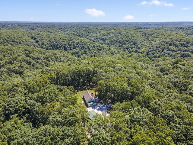 2020 Hummingbird Rd, Ozark, MO 65721 - photo 26